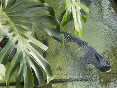 -燕北云山·农家菜·灶台鱼(密云溪翁庄店)