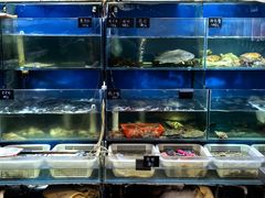 -福建美食城(老君堂店)