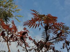 -西安汉城湖景区