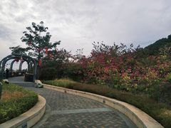 -金鸡山公园