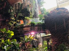 -正佳雨林生态植物园