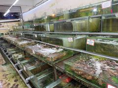 -双天海鲜楼 · 43年老字号