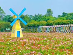 -盈香心动乐园