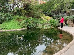 -晓港公园
