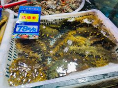 -旺角小渔村·海肠捞饭开创者(环山路店)