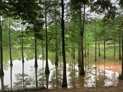 -中国科学院华南植物园