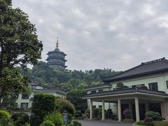 -浙江西子宾馆·牡丹厅