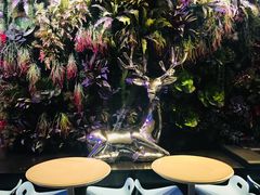 -海底捞火锅(金花路店)