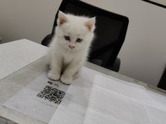 -萌兽医馆·犬猫专科·眼科中心·宠物医院(朝阳门分院)