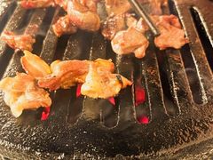 -大槐树烤肉馆
