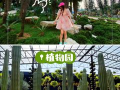 -东芭乐园