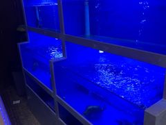 -泰丰楼(前门西大街店)