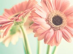 -核客电玩城(东门店)