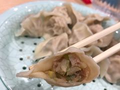 黑猪肉大葱水饺-老边饺子馆(东单店)