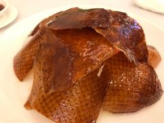 -金河半岛园林酒家(金融城店)