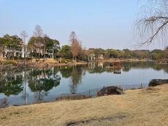 -苏州金鸡湖大酒店