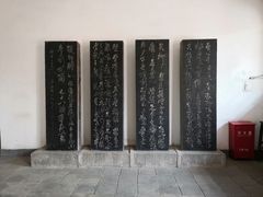 -碑林公园