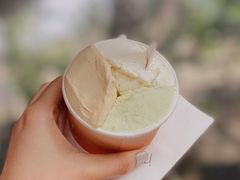 蜜瓜橙花水-Dip in Gelato(富民路店)
