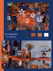 -DC大蔡婚礼策划(李公堤店)