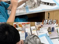 -pd派德宠物中心医院24H急重症·眼科中心·血液透析中心(嵩山北路店)