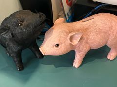 -WHEN PIGS FLY当猪飞