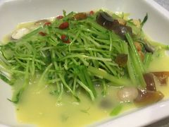 上汤豆苗-京味民福烤鸭店(建设四马路店)