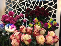 -双季花艺园艺市场(浦东店)