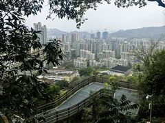-福道