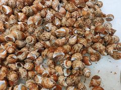 花螺-圣罗巴海鲜烤肉自助(佳兆业店)
