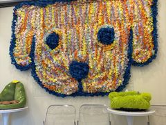 -有喵·猫咖·狗咖·40+猫狗有小奶狗(岗厦店)