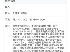 -威海大水泊国际机场