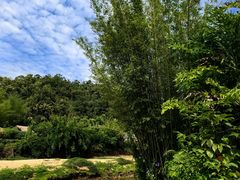 -河源御临门度假村温泉