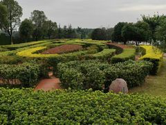 -铁山坪森林公园