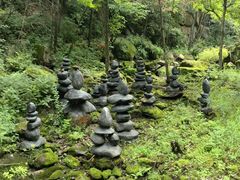 -茅兰沟国家森林公园