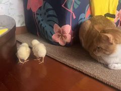 -新荟城(望京店)