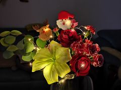 -双季花艺园艺市场(浦东店)