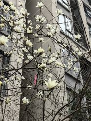 体验后-四川娇点医学美容医院