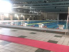 泳池-医科大学游泳馆