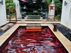-苏州湾·王焰温泉