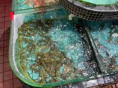 -海大大蒸汽海鲜餐厅·粤菜·特色小炒(欢乐颂店)