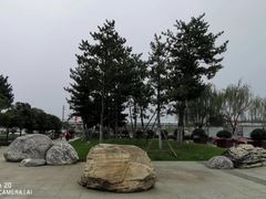-洨河生态公园