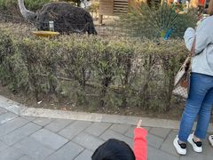 -有喜胶东小馆(太申祥和店)