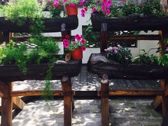-慢丽江·云南野生菌土鸡锅(西山店)