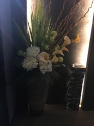 -史云逊养发中心