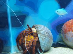 -欢乐海岸海洋奇梦馆