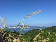 -枸杞岛