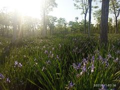 -天津东丽湖风景区
