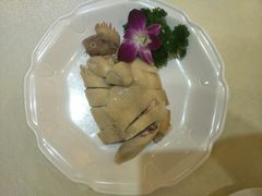 白切鸡-龙悦湾酒家·八阵鱼生·渔人码头店