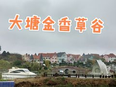 -大塘金香草谷