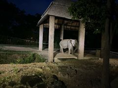 -清迈夜间动物园